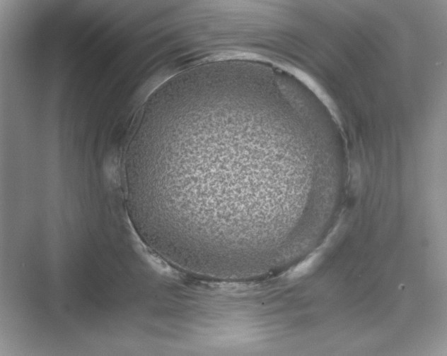 X0000076030905200609290955