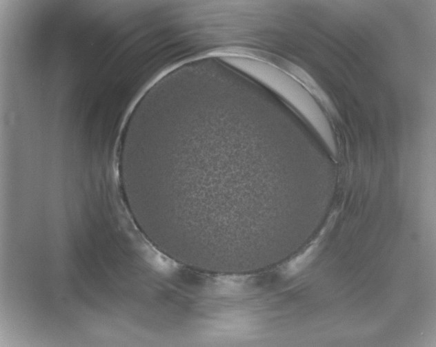 X0000076030908200609290955