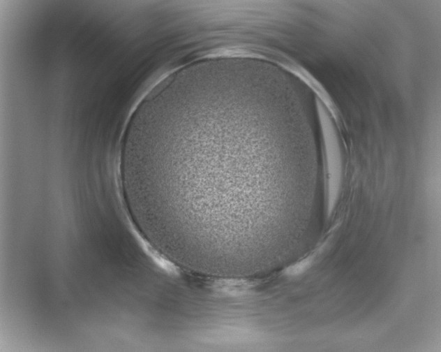 X0000076030909200609290955