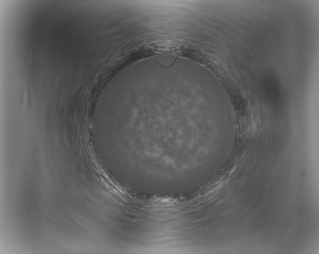 X0000076030913200609290954