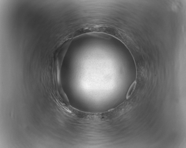 X0000076030914200609290954