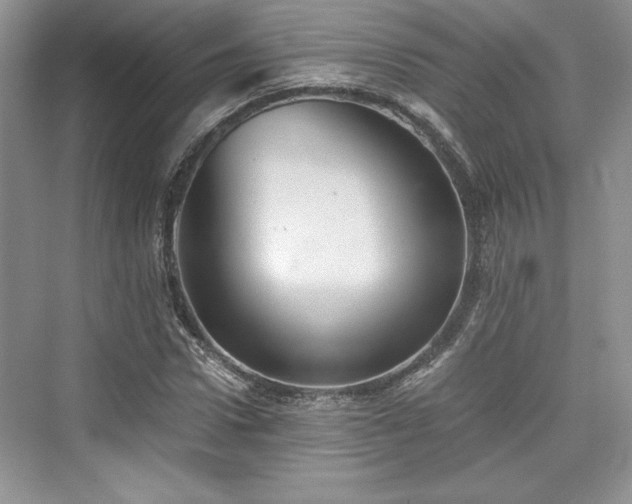 X0000076030922200609290954