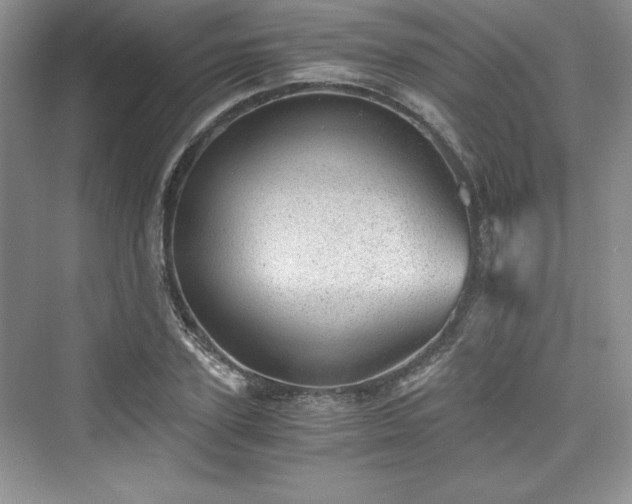 X0000076030931200609290954