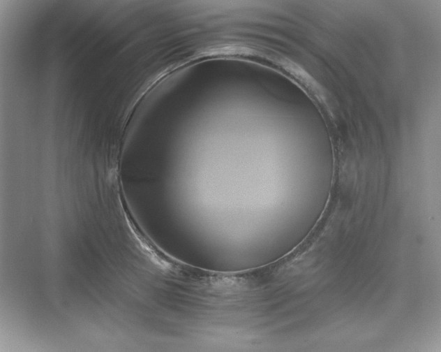 X0000076030945200609290955