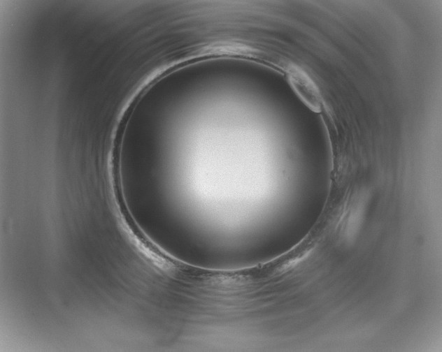 X0000076030947200609290955