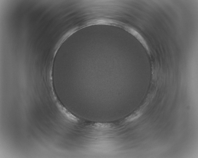 X0000076030954200609290955