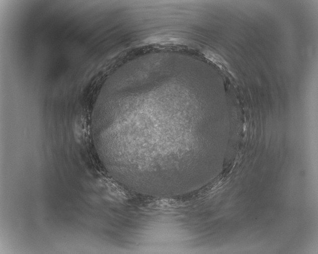 X0000076030966200609290954