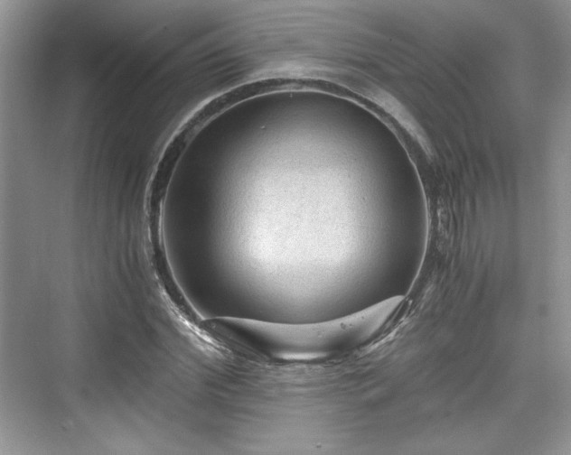 X0000076030972200609290954