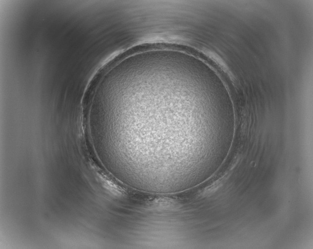 X0000076030974200609290954