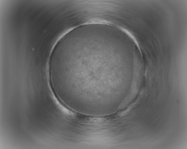 X0000076031003200609290953
