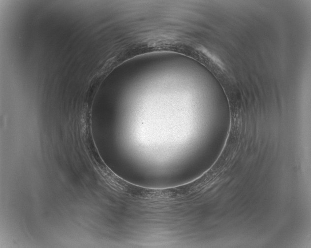 X0000076031012200609290952
