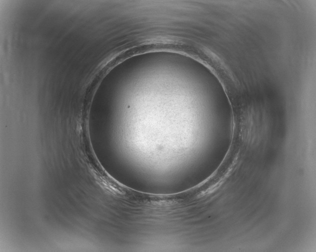 X0000076031017200609290953