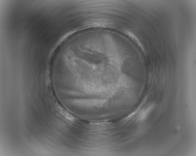 X0000076031019200609290953