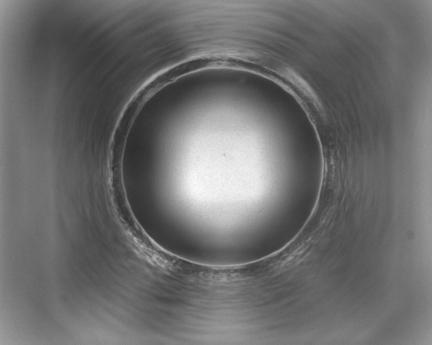 X0000076031020200609290953