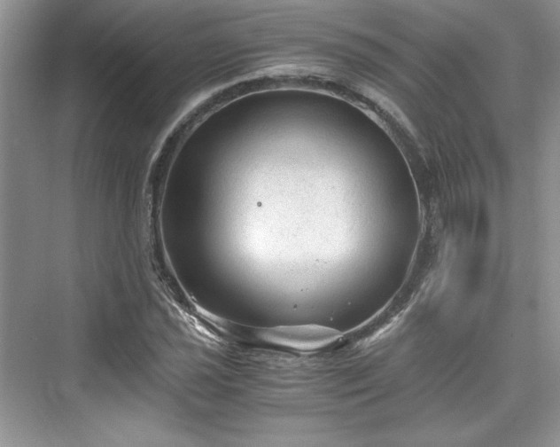 X0000076031021200609290953