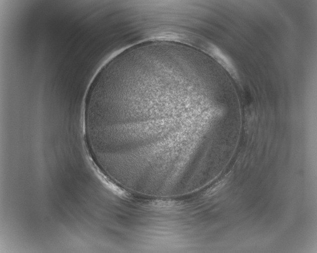 X0000076031036200609290953