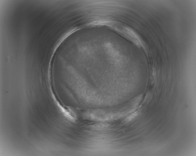 X0000076031050200609290953