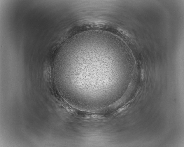 X0000076031061200609290952