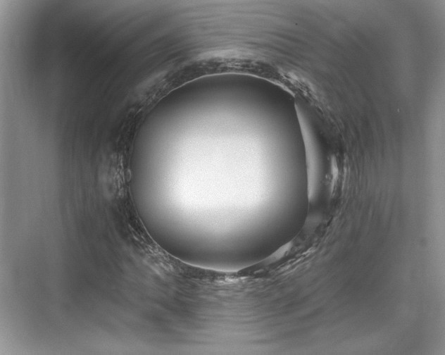 X0000076031062200609290952