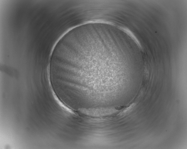 X0000076031100200609290952
