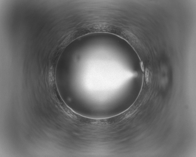 X0000076031107200609290951