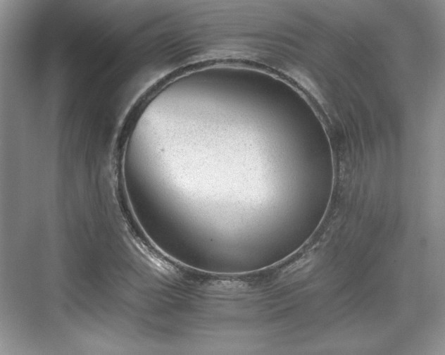 X0000076031119200609290951