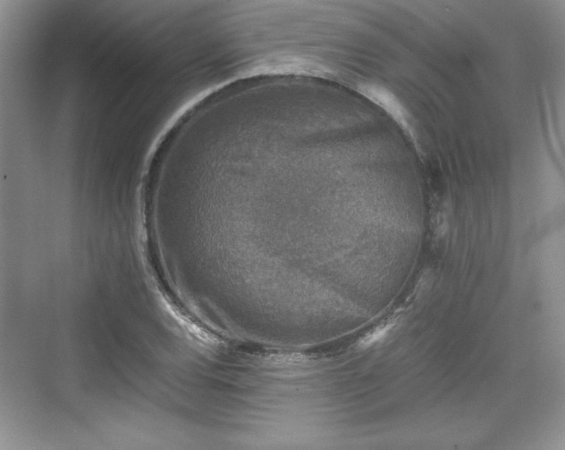 X0000076031120200609290951