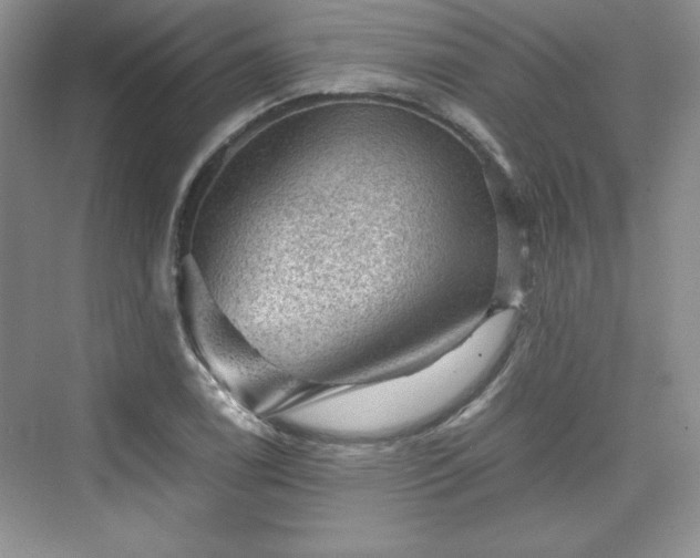 X0000076031122200609290951