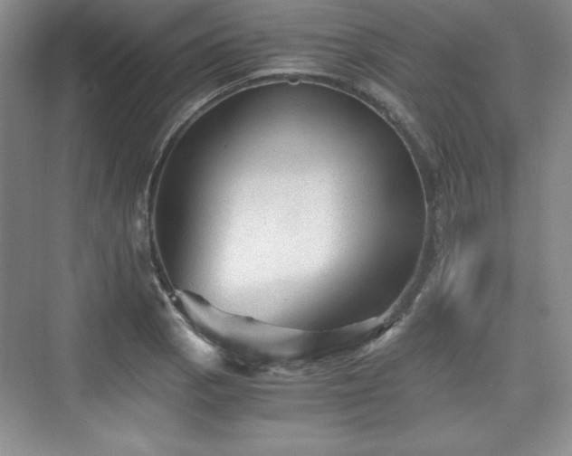 X0000076031129200609290951