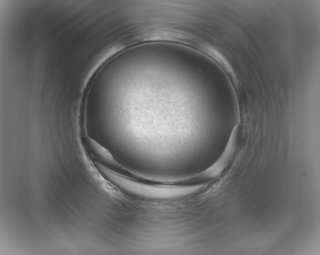 X0000076031138200609290951