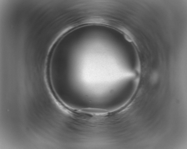 X0000076031139200609290951