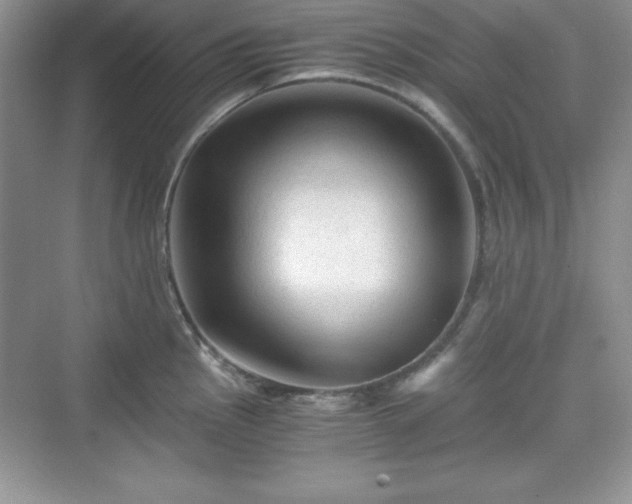 X0000076031145200609290952