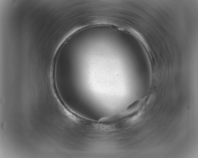 X0000076031149200609290952