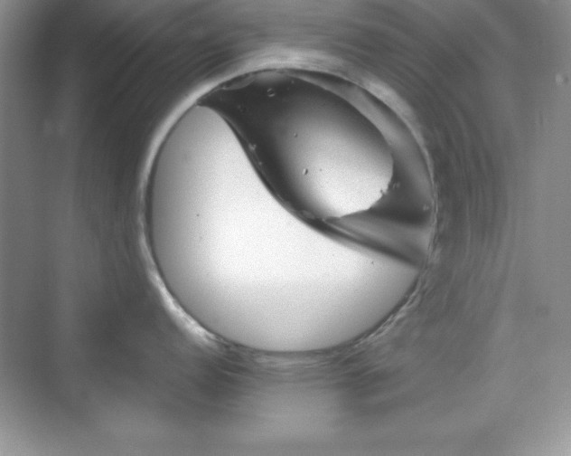 X0000076031152200609290952