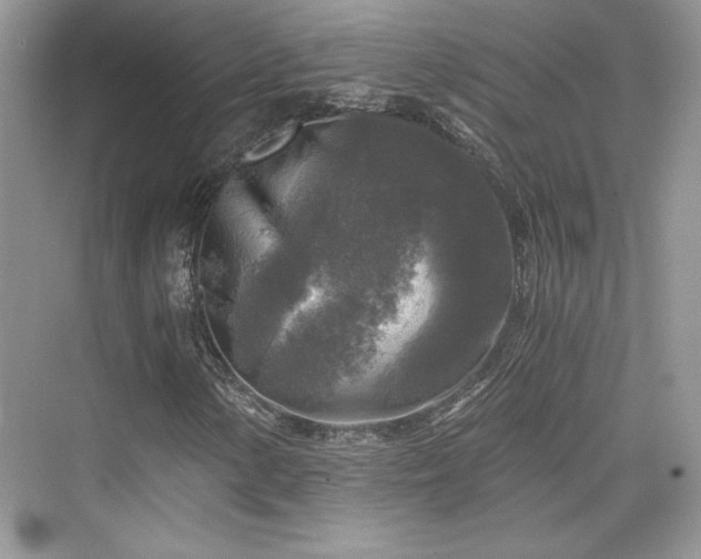 X0000076031154200609290951