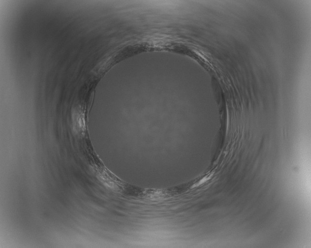 X0000076031155200609290951