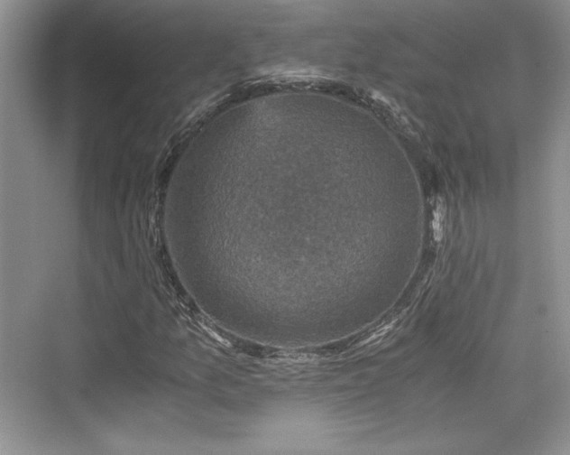 X0000076031157200609290951