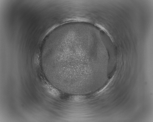 X0000076031163200609290951