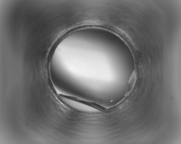 X0000076031168200609290951