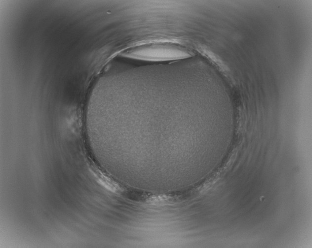X0000076031169200609290951
