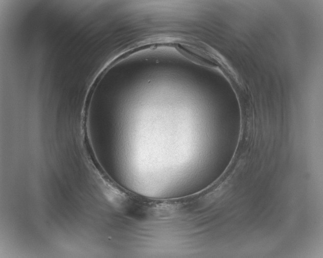 X0000076031178200609290950