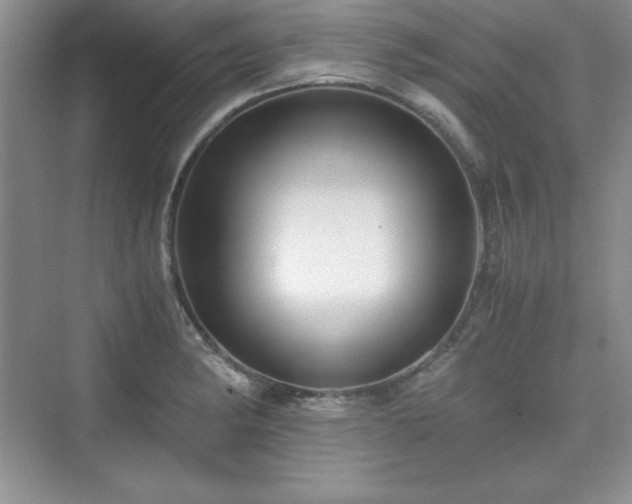 X0000076031182200609290950