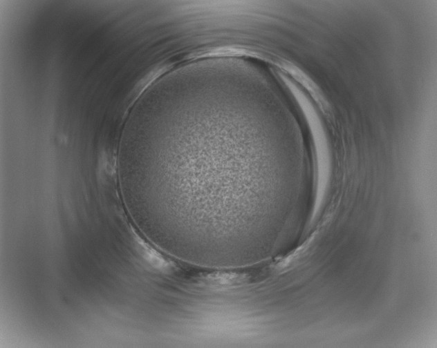 X0000076031193200609290950