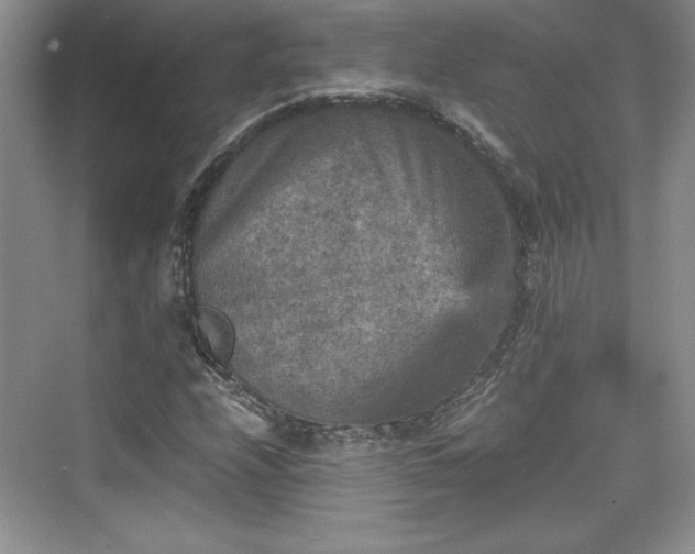 X0000076031208200609290949
