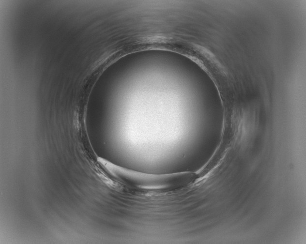 X0000076031209200609290949