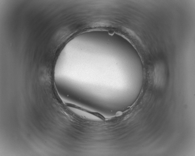 X0000076031217200609290949