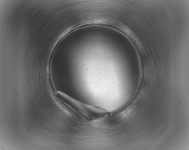 X0000076031234200609290950