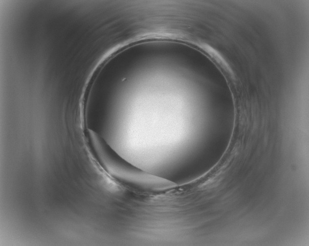 X0000076031238200609290950