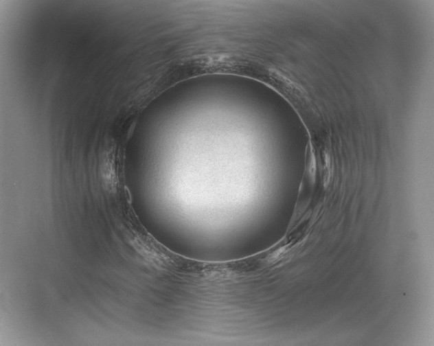 X0000076031250200609290949