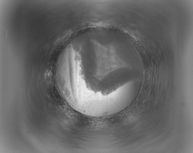 X0000076031254200609290949